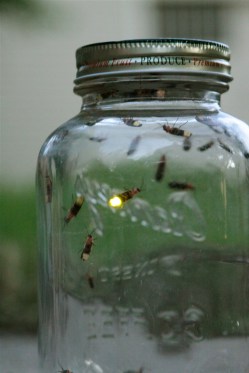 6a00d8341c469c53ef0133f15c8d87970b